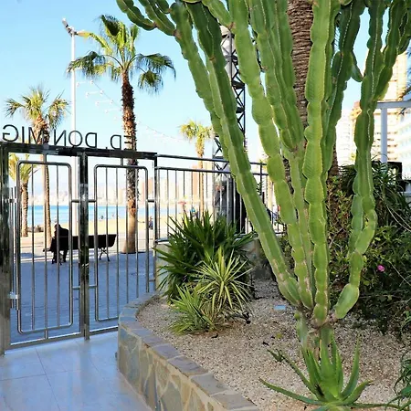 Apartament Don Miguel 1 10-b Levante *