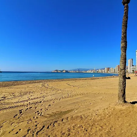 Don Miguel 1 10-b Levante * Benidorm