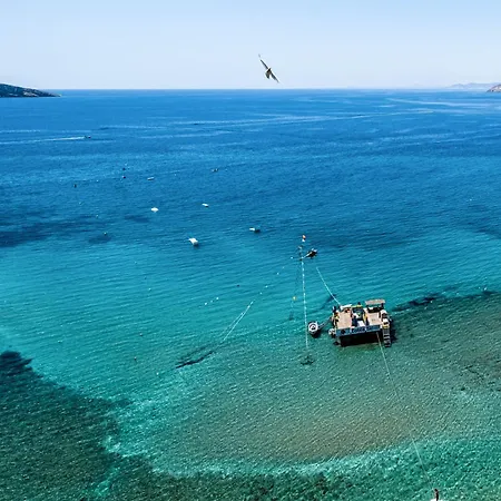 Don Miguel 1 10-b Levante