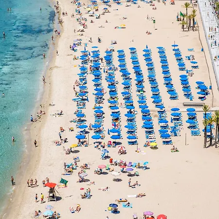 Don Miguel 1 10-b Levante Benidorm